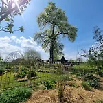 Et Animaux De La Ferme Chambord (Eure)