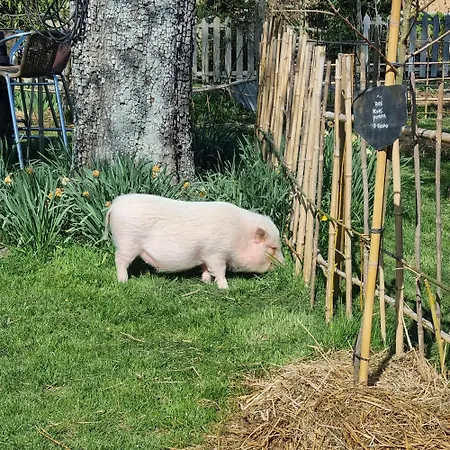 Et Animaux De La Ferme Homestay Chambord (Eure)