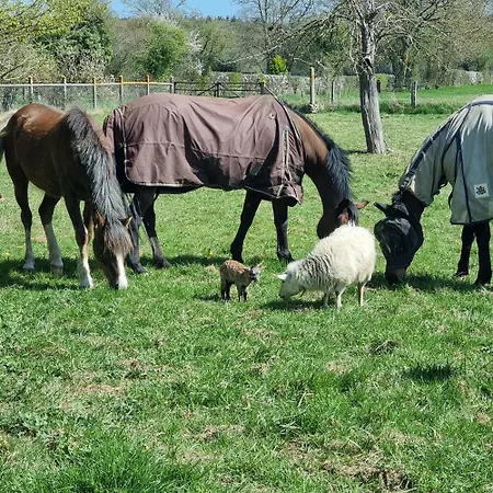 Et Animaux De La Ferme