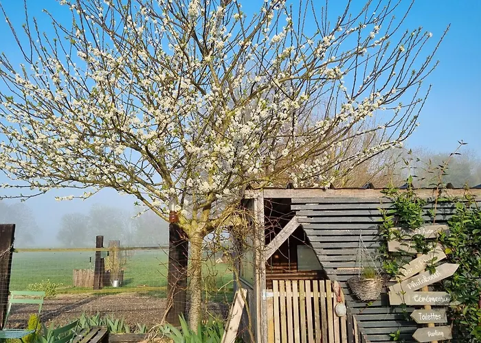 Et Animaux De La Ferme Chambord (Eure)