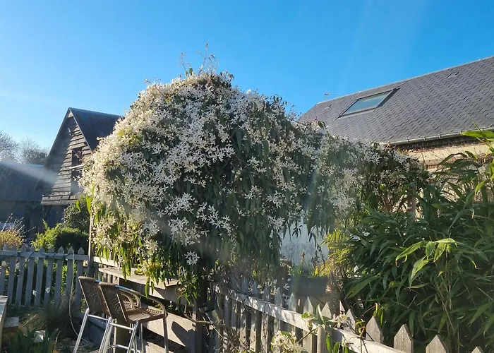 Séjour chez l'habitant Et Animaux De La Ferme