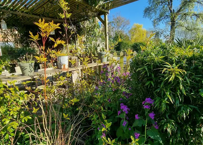 Et Animaux De La Ferme * Chambord (Eure)