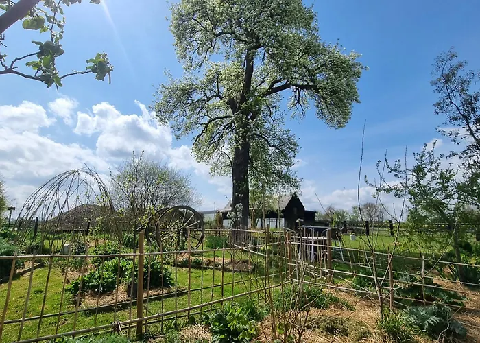 Et Animaux De La Ferme Chambord (Eure)